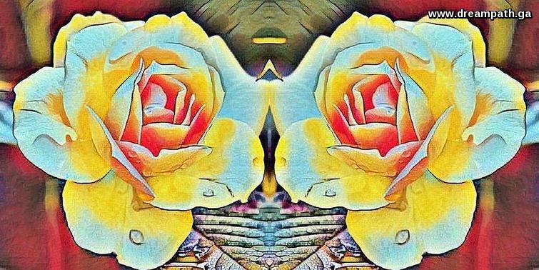flowers flowers