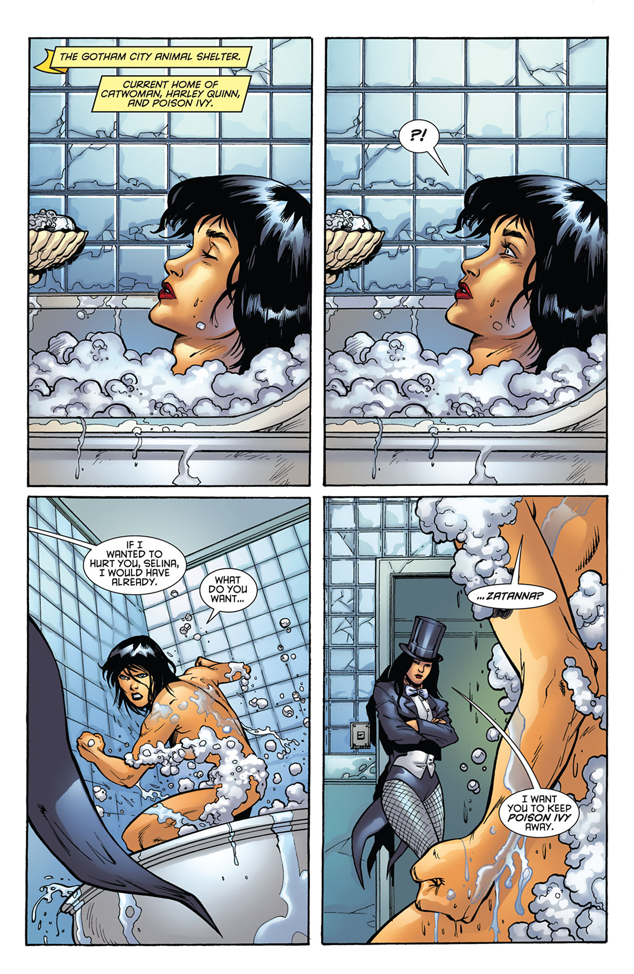 Read online Gotham City Sirens comic -  Issue #16 - 8
