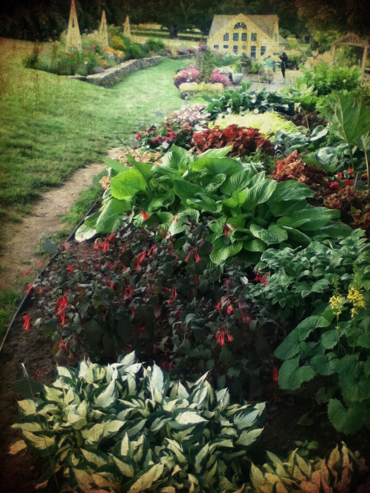 asketchadayConnecticutRamblings GLORIOUS WHITE FLOWER FARM