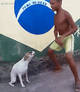 tong-hop-nhung-buc-anh-gif-vui-nhon-phan-11-2 tong-hop-nhung-buc-anh-gif-vui-nhon-phan-11-2