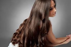 فوائد زيت حبه البركة للشعر فوائد زيت حبه البركة للشعر