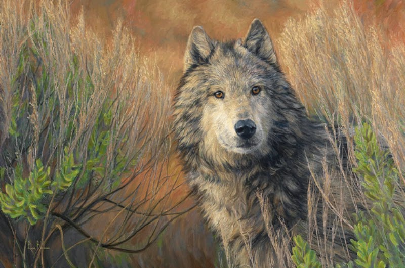 pinturas-realistas-de-lobos
