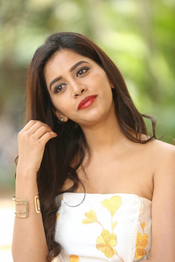Nabha Natesh at Nannu Dochukunduvate movie Success Meet