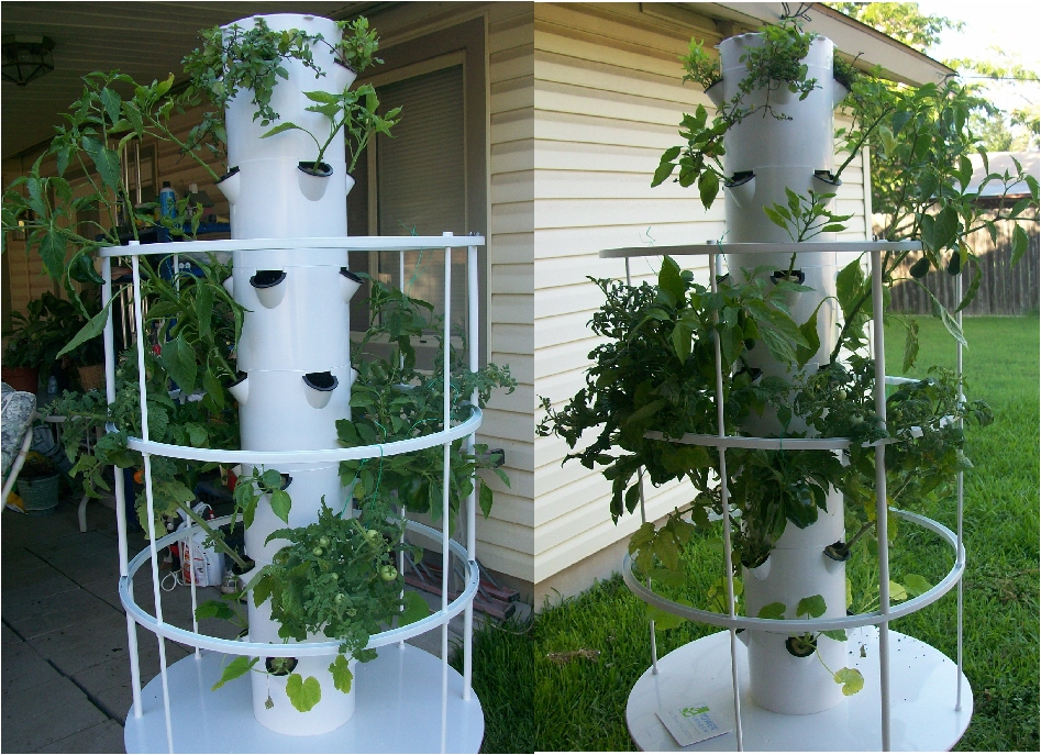 Fun With Tower Garden