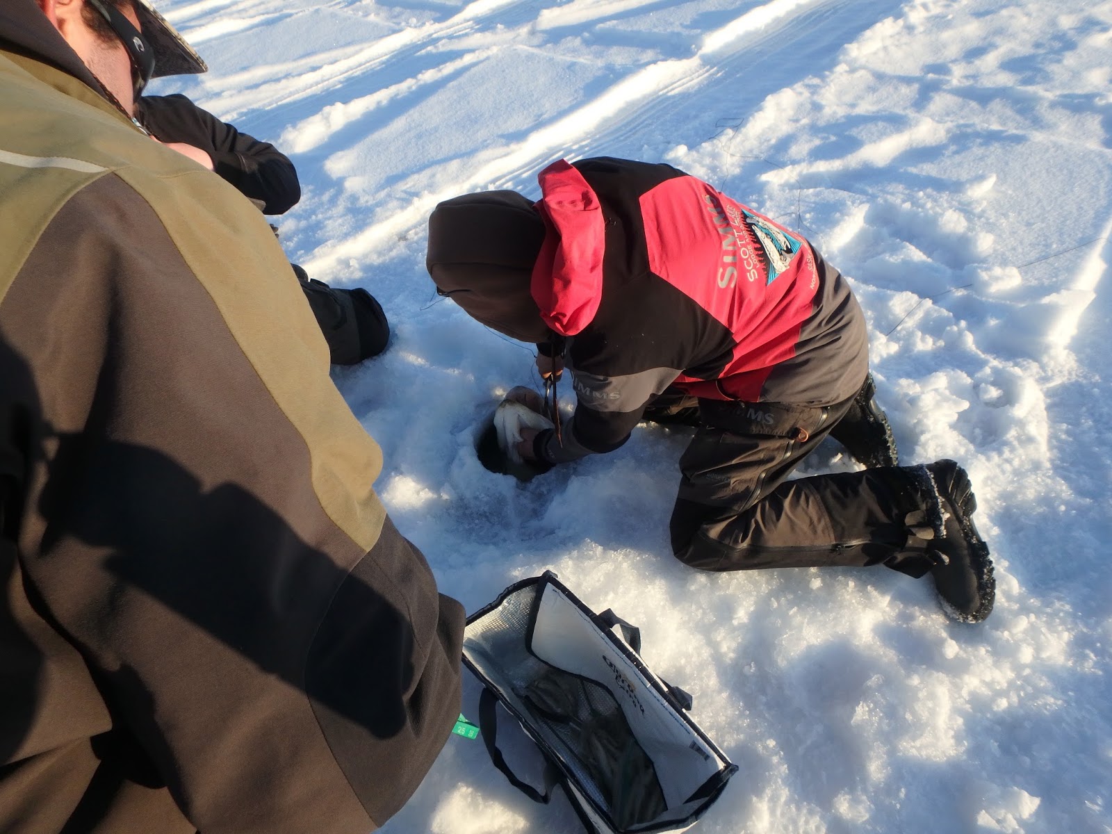 Circle Hooks For Giant Northern Pike
