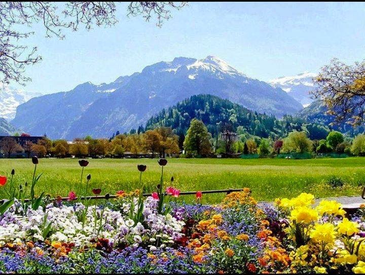 Beautiful Wallpapers for Desktop: Beautiful Desktop HD Wallpapers