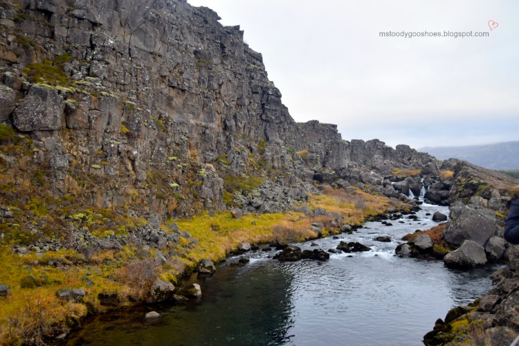 FOUR DAYS IN ICELAND - DAY 2: THE GOLDEN CIRCLE | Ms. Toody Goo Shoes