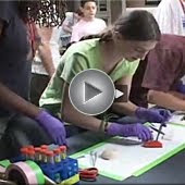 SPARK; Science Summer Studies for Middle School Students