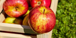 What are the side effects of eating apples?