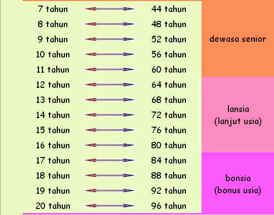 Umur kucing dengan manusia