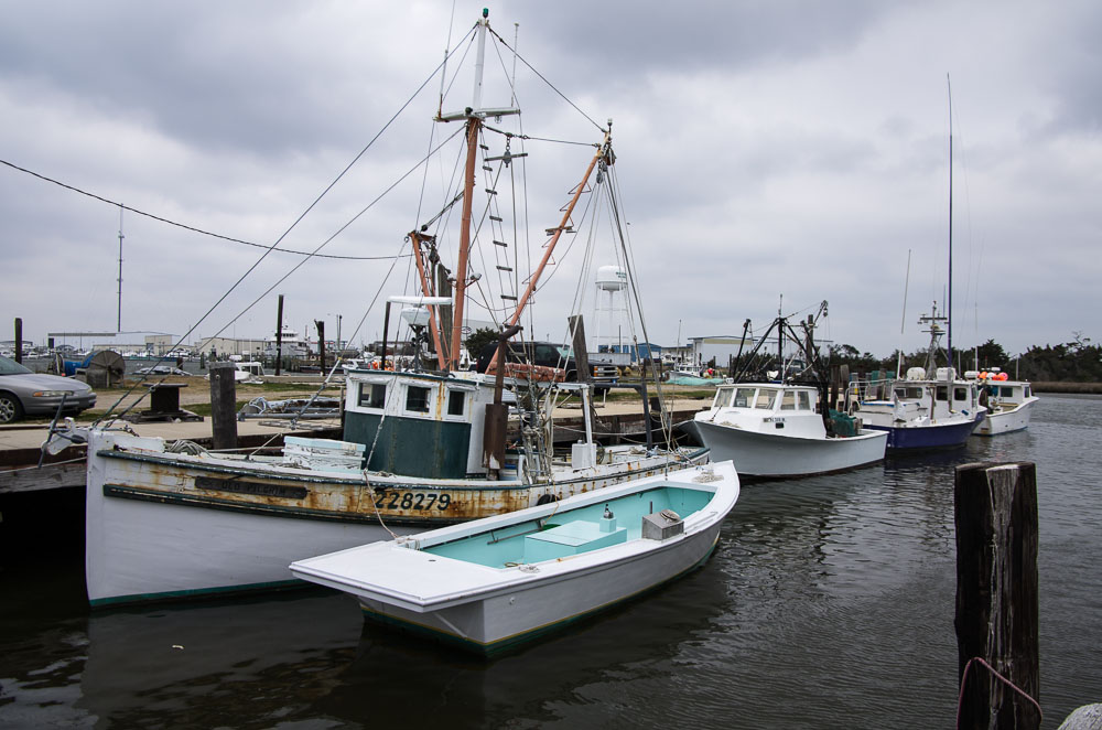 Travels Coastal North Carolina 1 Photography In Place