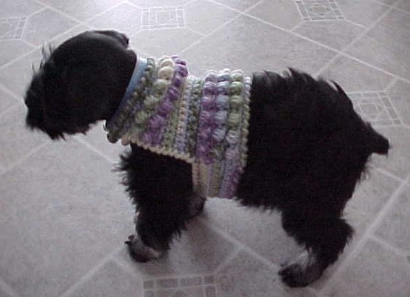 Easy Crochet Pattern For Dog Coat | miss julia s patterns free patterns 20 dog sweaters to Easy Crochet Pattern For Dog Coat | miss julia s patterns free patterns 20 dog sweaters to