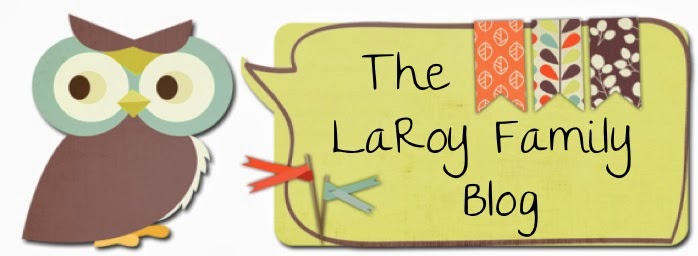 The LaRoy Family Blog