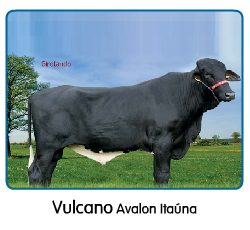 http://www.semex.com/downloads/catalogue/man/br/Vulcano.pdf