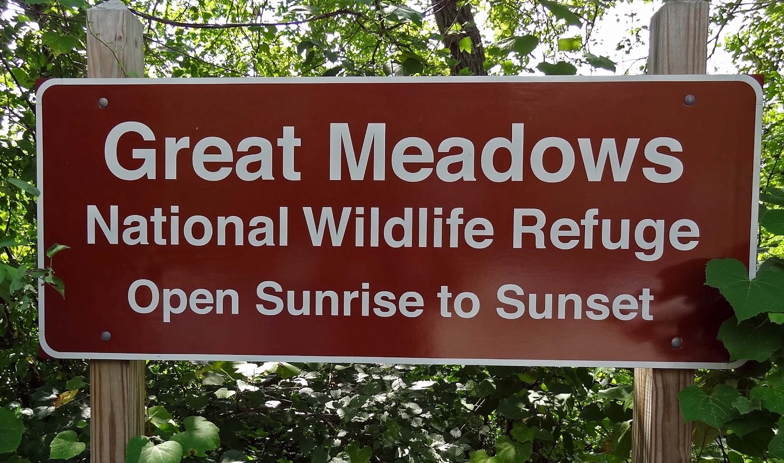 Joe's Retirement Blog Great Meadows National Wildlife Refuge (NWR