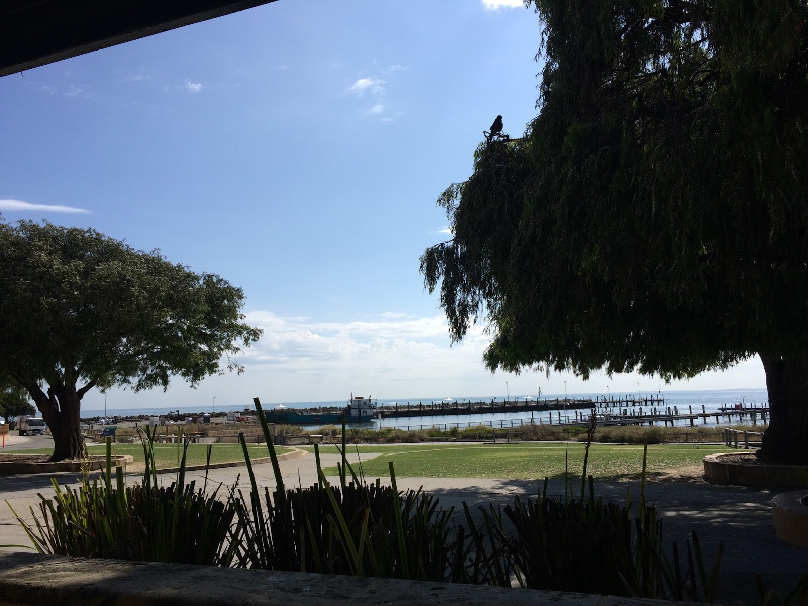 Dome Cafe Rottnest Island Travel is my favorite Sport