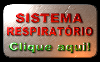 APOSTILA SISTEMA RESPIRATÓRIO