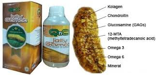 khasiat dan manfaat QnC Jelly Gamat Baru Dan Ajib khasiat dan manfaat QnC Jelly Gamat Baru Dan Ajib
