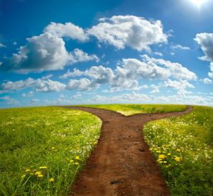 the power of choice
