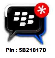 Pin