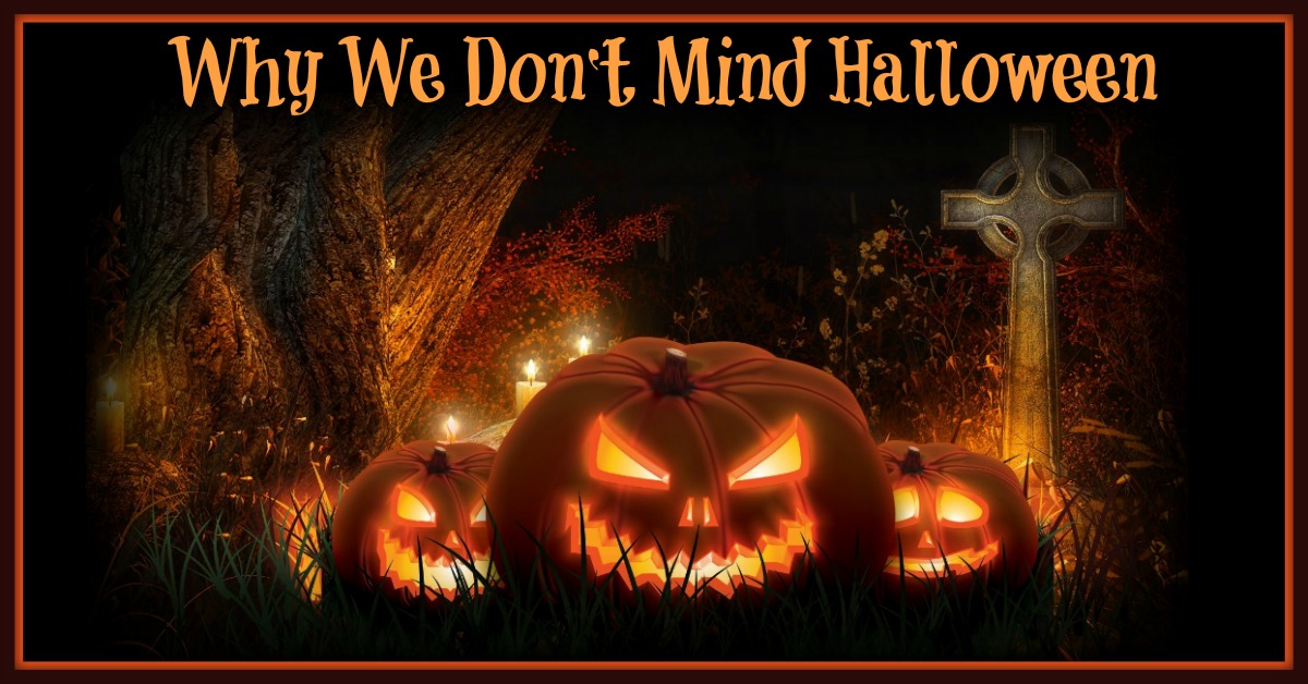 Counting Pinecones Halloween? Yes or No?