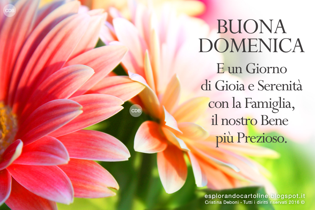 Buongiorno E Buona Domenica A Tutti Voi