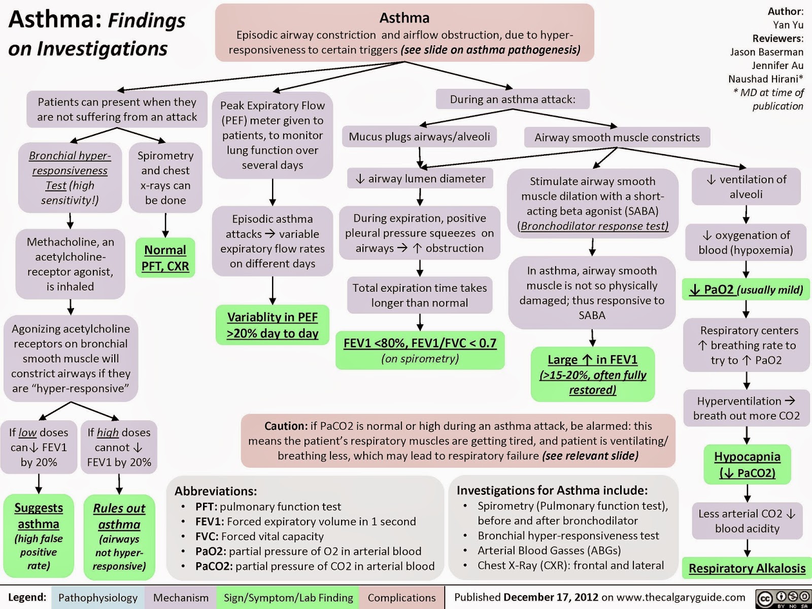 Adult Emergency Medicine Asthma Pathophysiology and Clinical Signs