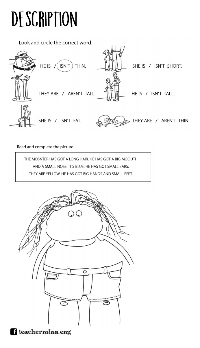 Teachermina: [activity] description
