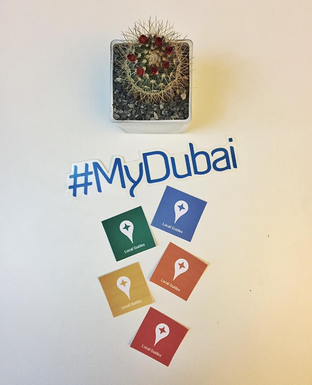 Google local guides Dubai community