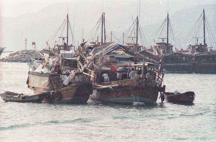 Hong Kong, Aberdeen, jonques, © L. Gigout, 1990