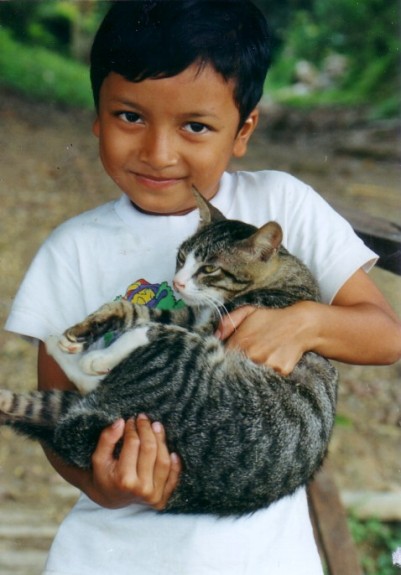  boy holding kitten 