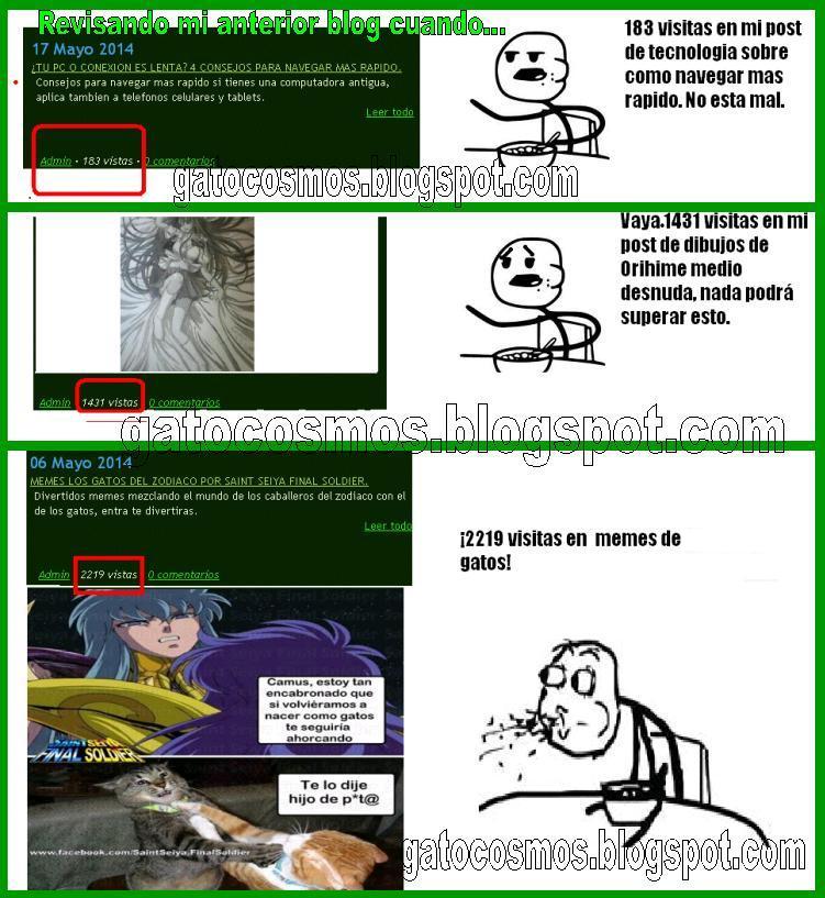 Memes: los gatos dominan internet. - Gatocosmos - el blog del amarganeitor