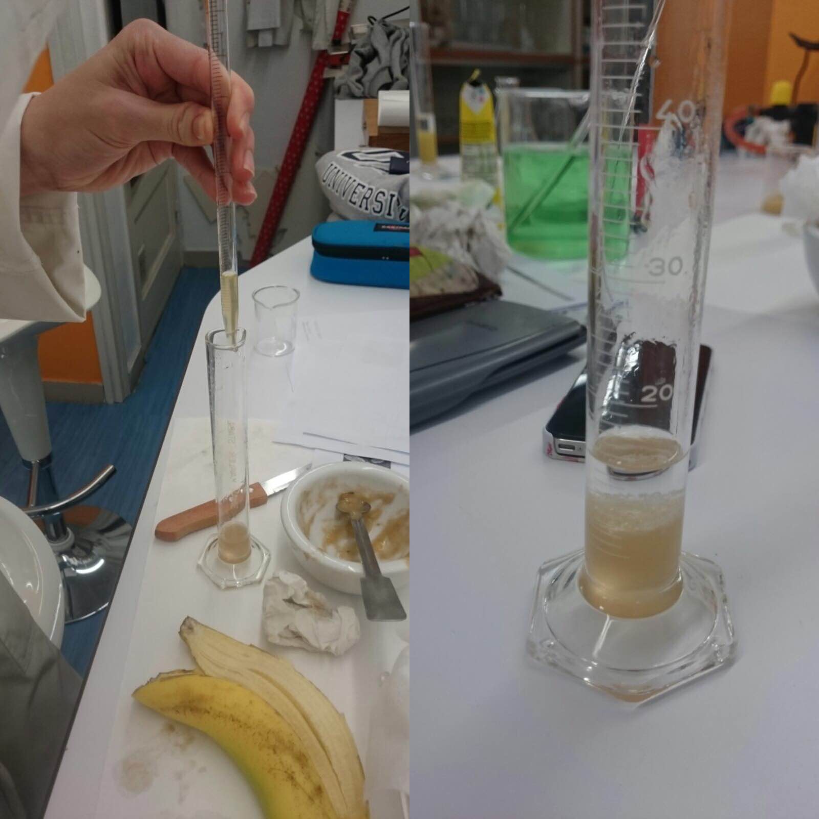 Dania's science lab blog DNA EXTRACTION