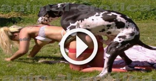 dog mating with a lady