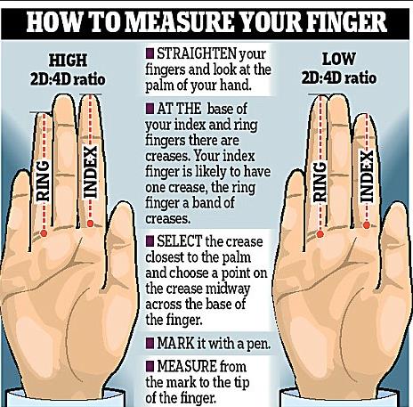 H2d4d Measuring The 2d 4d Ratio