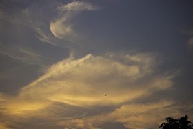 skywatch, sky, clouds, bandra east, mumbai, india, bird, dusk, evening, 