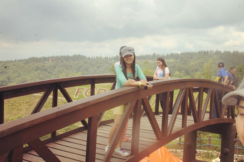 Connecting with Nature (Yellow&Green) 6 IMG 9403 %E5%89%AF%E6%9C%AC+(2)