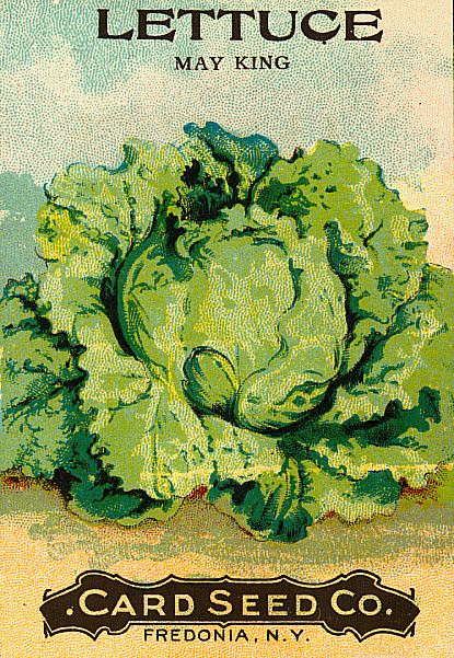 Sisters Warehouse Free Seeds Vegetable Labels Sisters Warehouse Free Seeds Vegetable Labels
