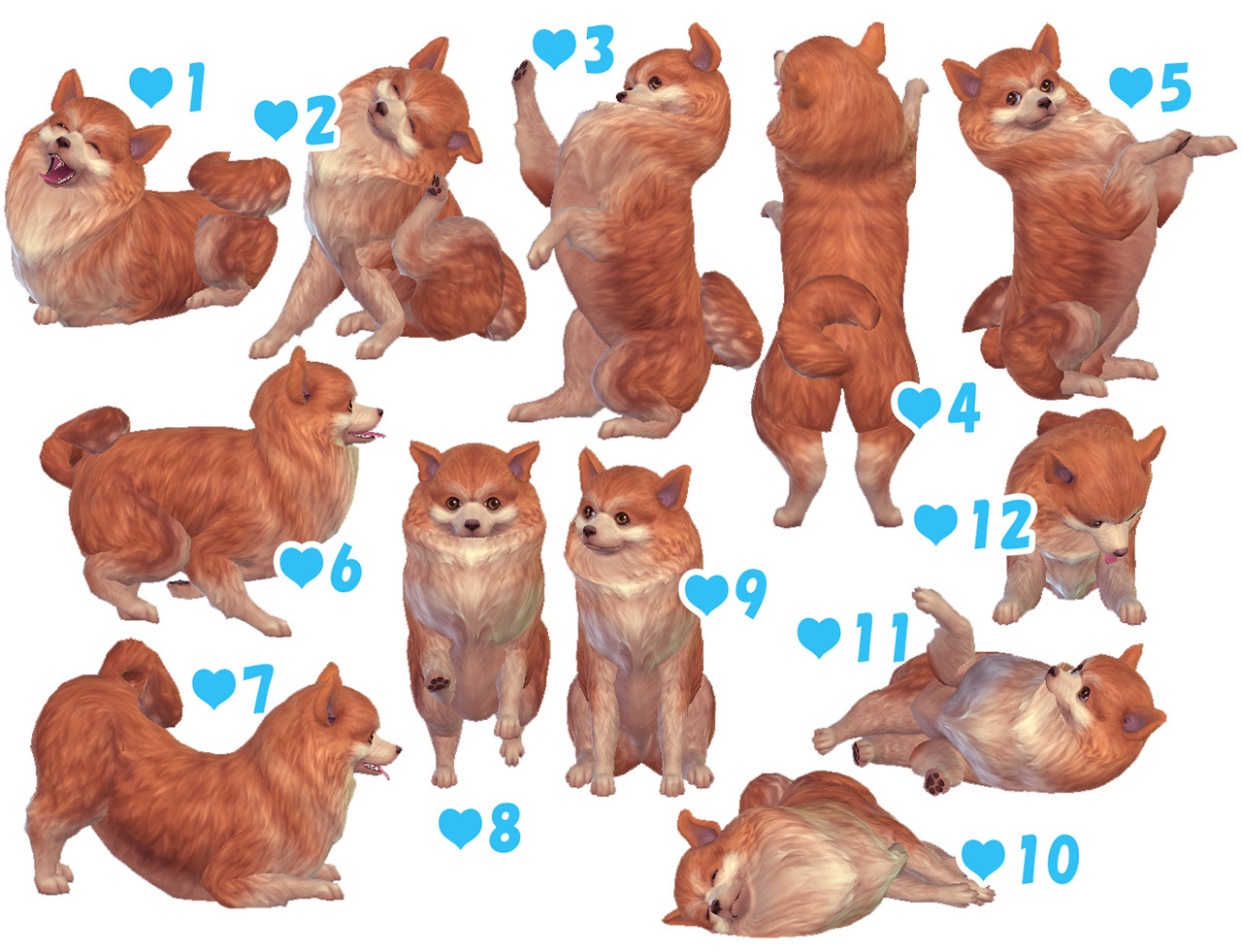 Sims 4 CC's The Best Dog Pose (Large,Small,Puppy) by A Lucky Day