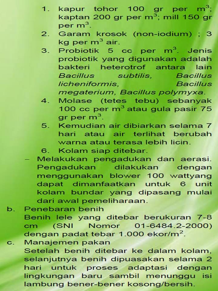 23 Budidaya Ikan Lele Bioflok Pdf Pictures Info Kece