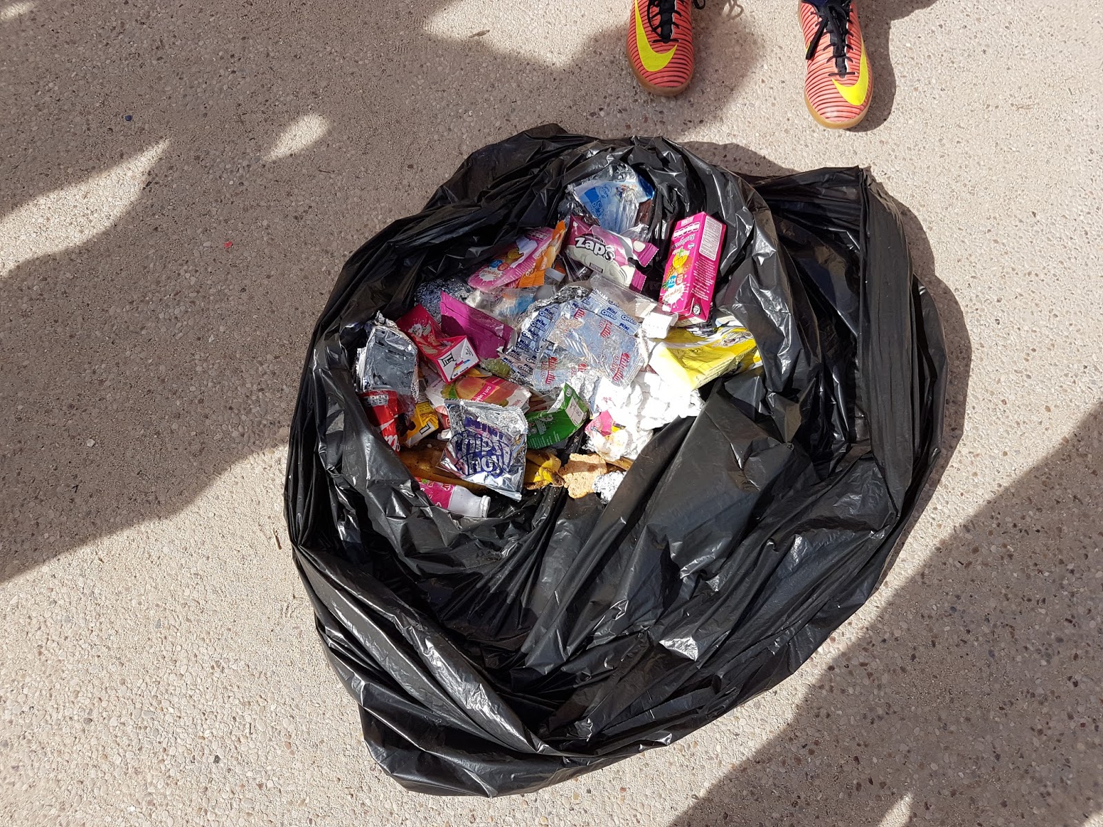 MESETA AL DIA RECOGIDA DE BASURAS EN EL PATIO