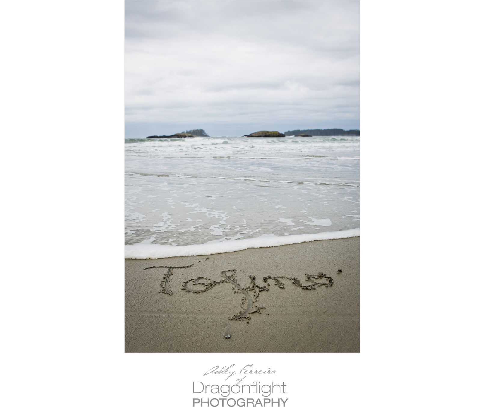 Dragonflight Photography Vancouver Langley Victoria And