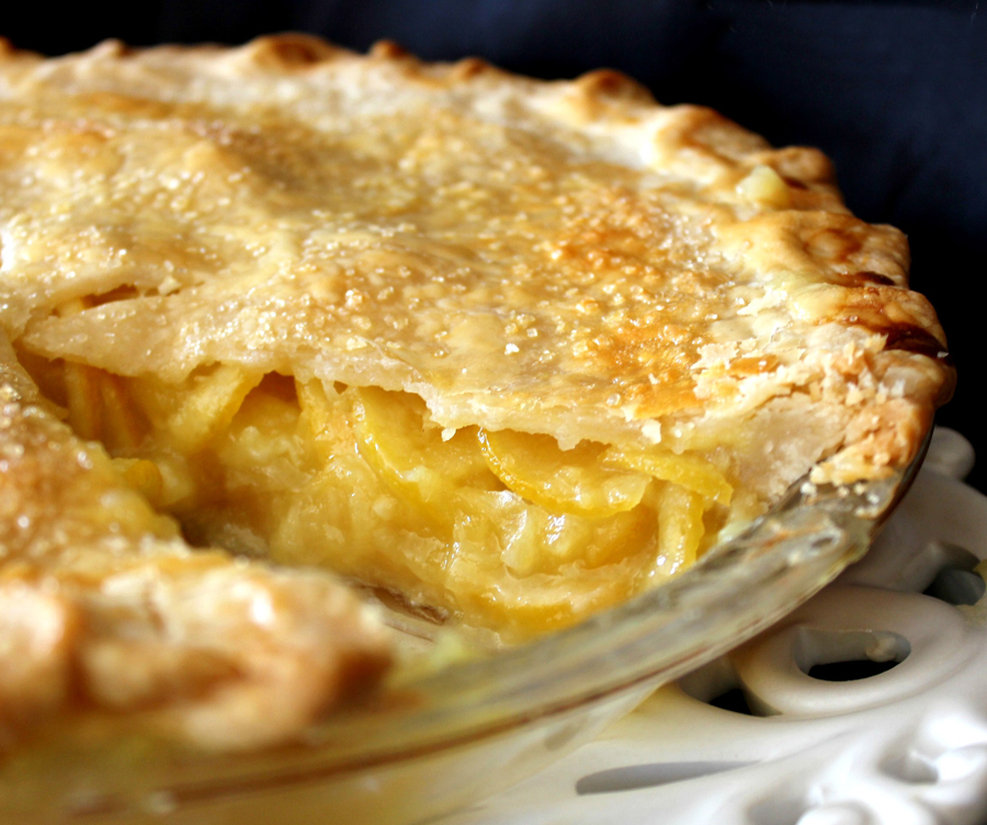 Bio Geo Nerd Einstein and Pie I mean Pi