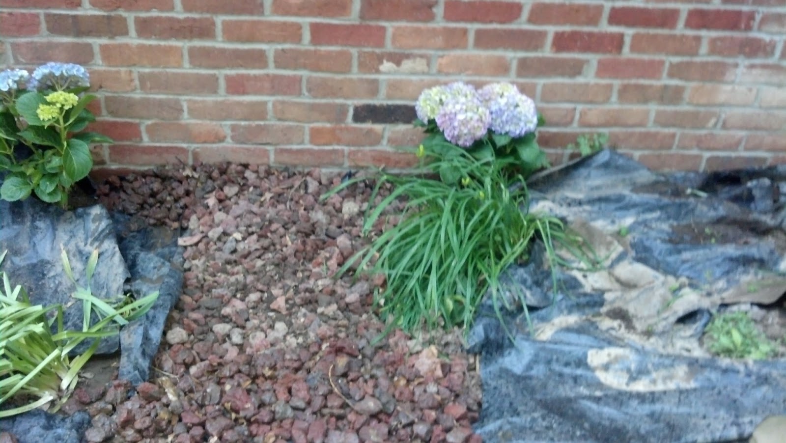 The Sweetness of Home: How Does Your Flower Garden Grow?