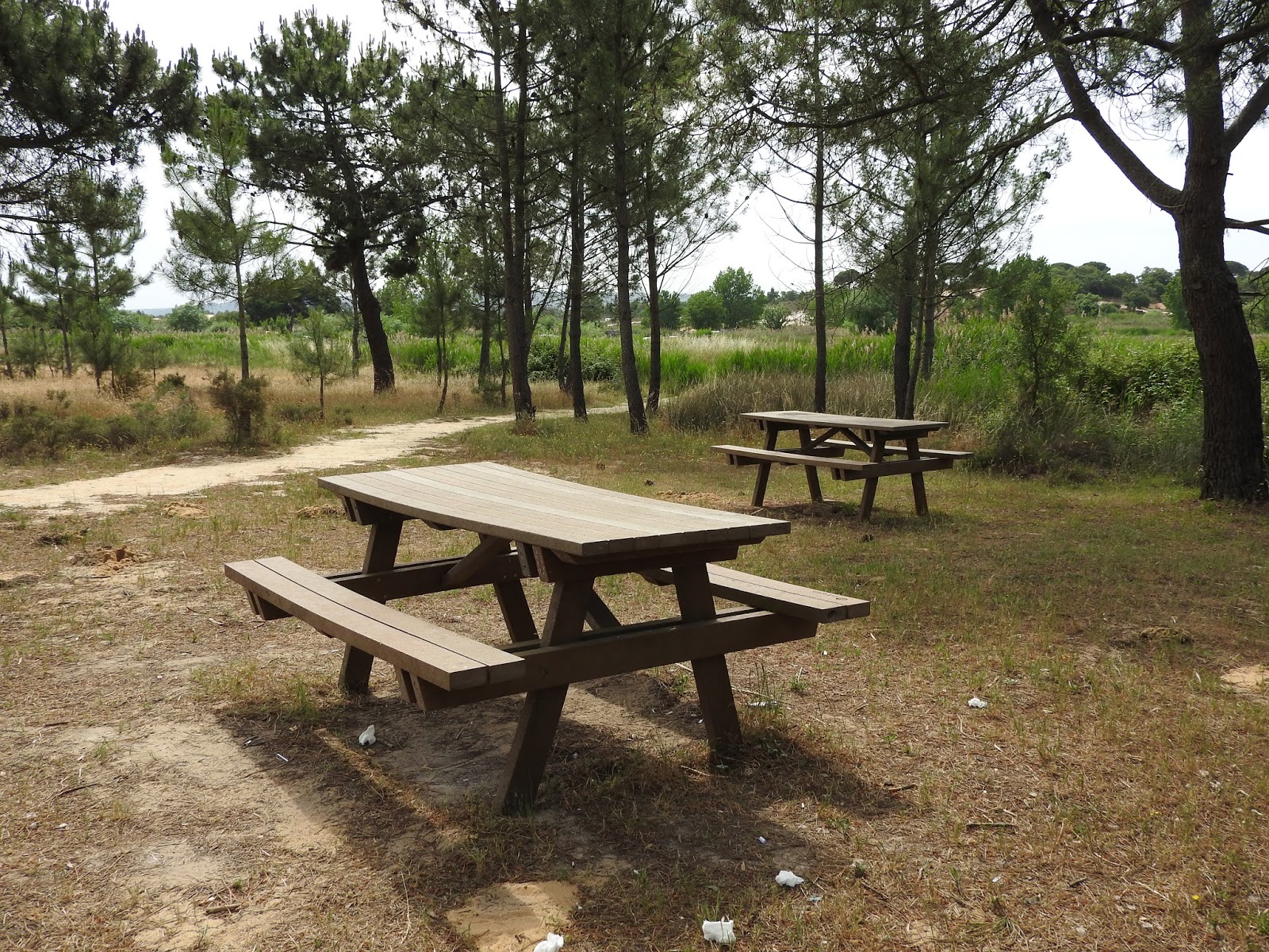 Picnikar Parque da Várzea (Quinta do Conde Sesimbra)