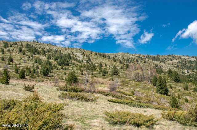 Pelister Panorama - Neolica Hiking Trail, Bitola, Macedonia
