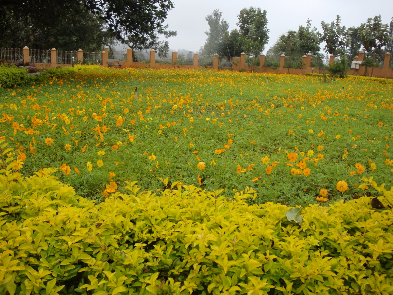 YELAGIRI FARM HOUSE What to see in the