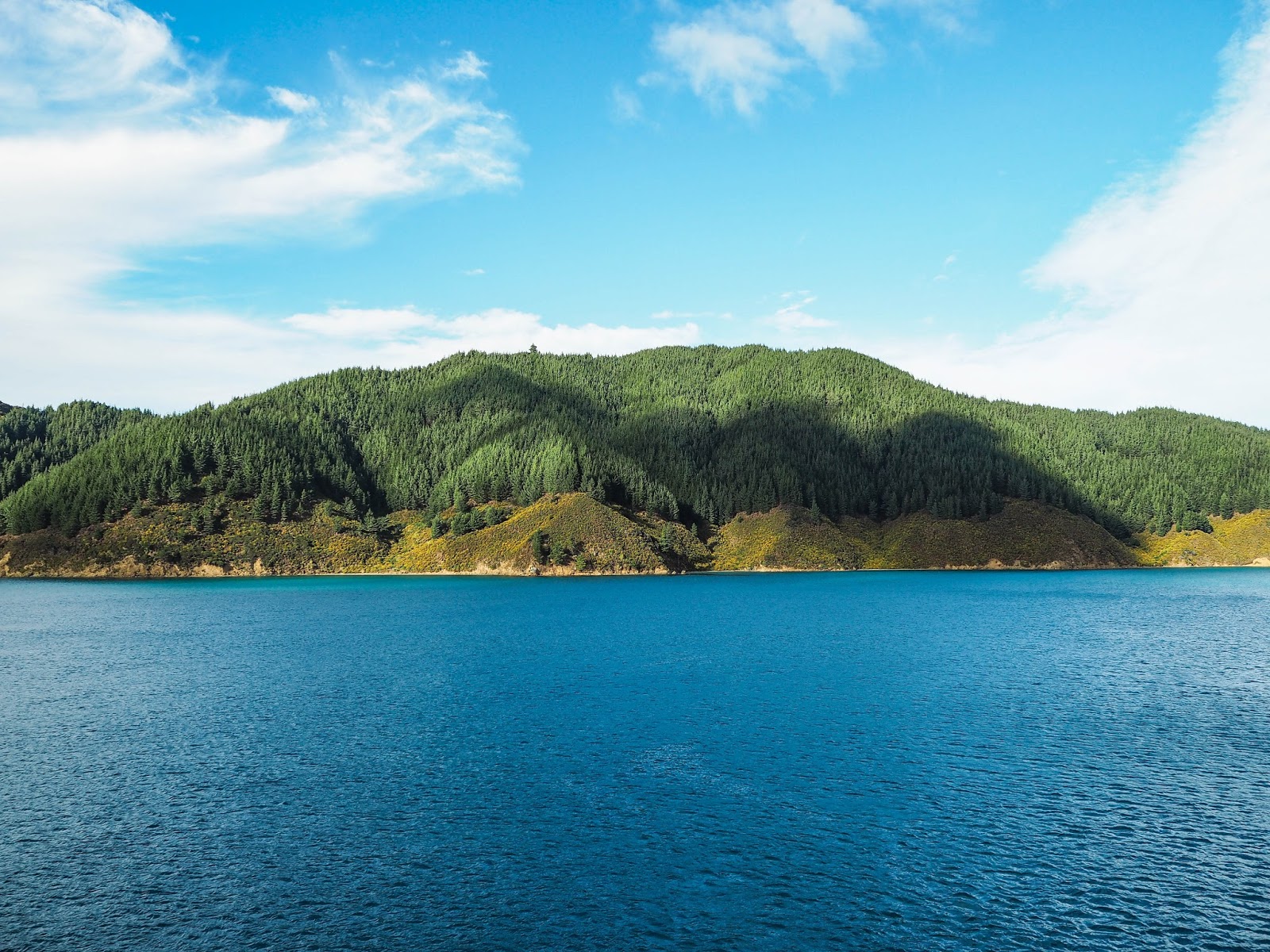 View of Marlborough Sounds from Cook Strait ferry, New Zealand