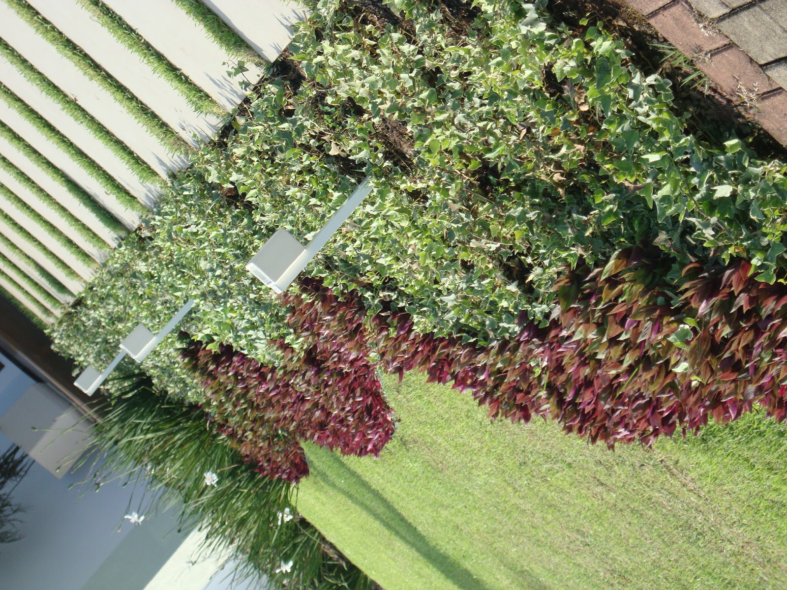 Reino Vegetal Paisagismo: FORRAÇÕES