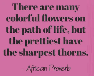 There are many colorful flowers on the path of life, but the prettiest have the sharpest thorns. - African Proverb
